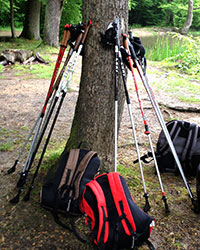 Les bâtons de Marche Nordique